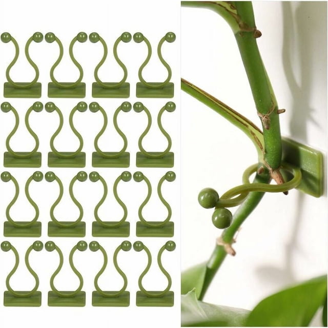 Plant Climbing Wall Fixture Clips, Environmentally Friendly Abs Self-Adhesive Hook For Indoor Outdoor Use, Invisible Holder With Acrylic Adhesive Stickers For Safe Plant Support And Wire Organizing