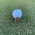 thumbnail image 1 of Señalización de golf para adultos que llevan accesorios deportivos al aire libre con señalización de golf, 1 of 5