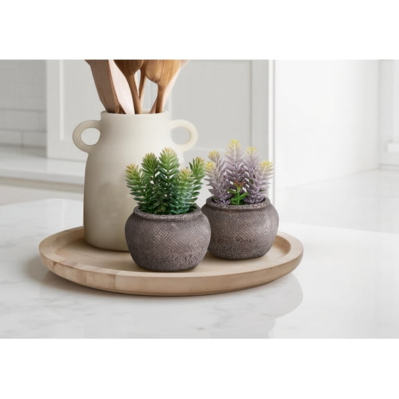 Artificial Plant - Set Of 2 - 8" Tall - Succulent - Table - Brown Cement Pots