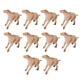 thumbnail image 2 of Modelo animal Moropus, 10 piezas Modelo animal Moropus Figura Moropus Juguetes Figuras animales Moropus Tecnología avanzada, 2 of 9