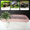thumbnail image 3 of Walbest 1 Pack Reptile Feeding Box Anti Slip Slope Prevent Escaping Mini Fish Tank Turtle Habitat Container Aquarium for Turtle Tank, 3 of 8