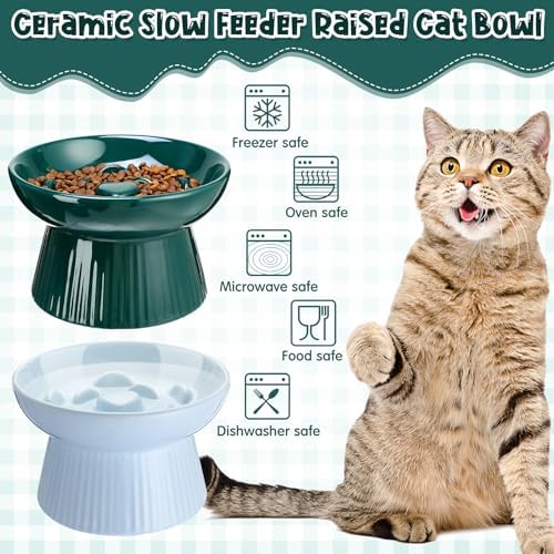 2 Pcs Raised Cat Slow Feeder Bowl Ceramic Elevated Cat Dog Food Bowl No Spill High Edge for Dry Wet Food and Water Easy to Clean, Dishwasher Safe (Dark Green,Blue)