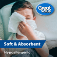 thumbnail image 2 of Great Value 2-Ply Facial Tissues, 1 Cube Box, 80 Tissues, 2 of 7