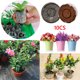 thumbnail image 3 of Wdftyju Bloque de suelo para plantar flores de jardín, terrón de nutrientes, gránulos de turba rígidos Wdftyju 6vh5gj6mj9ch1cj9D02, 3 of 9