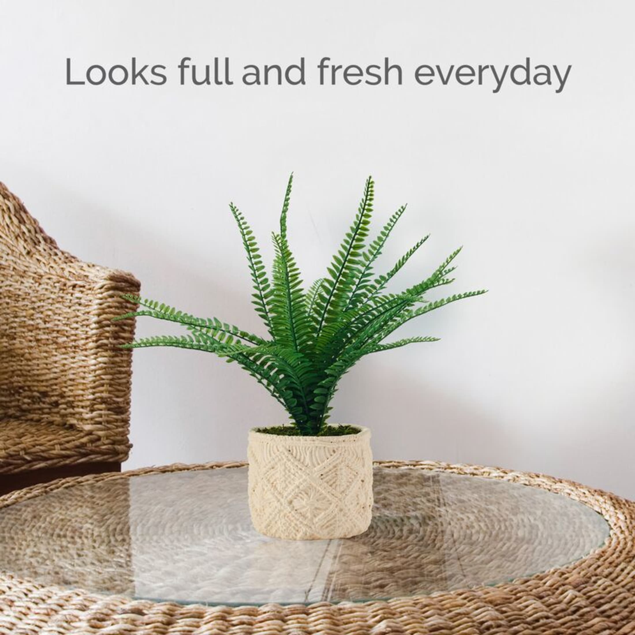 Elements 18 inch Fern in Embossed Cement Pot Green