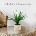 thumbnail image 3 of Elements 18 inch Fern in Embossed Cement Pot Green, 3 of 7