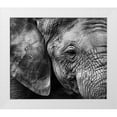 thumbnail image 1 of Garcia, Helena 23x20 White Modern Wood Framed Museum Art Print Titled - Elephant Skin, 1 of 4
