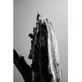 thumbnail image 2 of Perry, Lewis 11x14 Black Ornate Wood Framed with Double Matting Museum Art Print Titled - Wetlands 1, 2 of 4