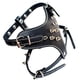 thumbnail image 1 of Spiked Studded Leather Puppy Dog Harness Vest for Small Breeds, 1 of 5