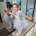 thumbnail image 5 of Ropa para niños Traje de ballet para niñas Ropa de entrenamiento Ropa de baile para niños Ropa de actuación de malla Vestido de princesa, 5 of 5
