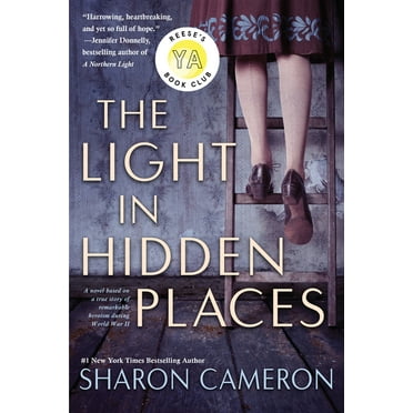 The Light in Hidden Places (Paperback)