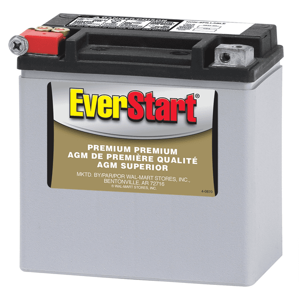 EverStart PowerSport Battery, Group Size ESTX14