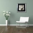 thumbnail image 3 of Trademark Fine Art "Florison 42" Canvas Art by Alan Blaustein, Black Matte, Silver Frame, 3 of 4