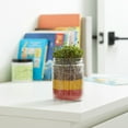 thumbnail image 2 of Back To The Roots Terrarium Grow Kit, 2 of 3