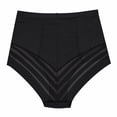 thumbnail image 2 of PANTALETA BERLEI COMPLETA CON MESH, 2 of 6