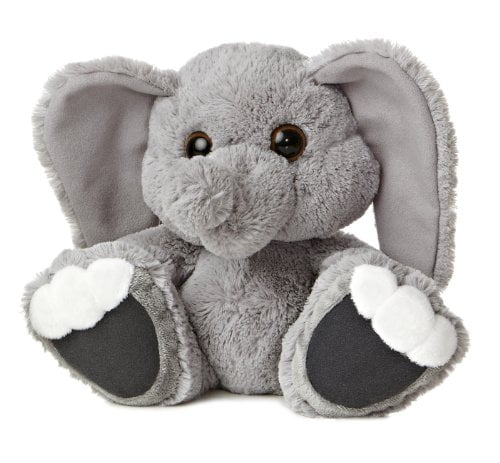 taddle toes aurora