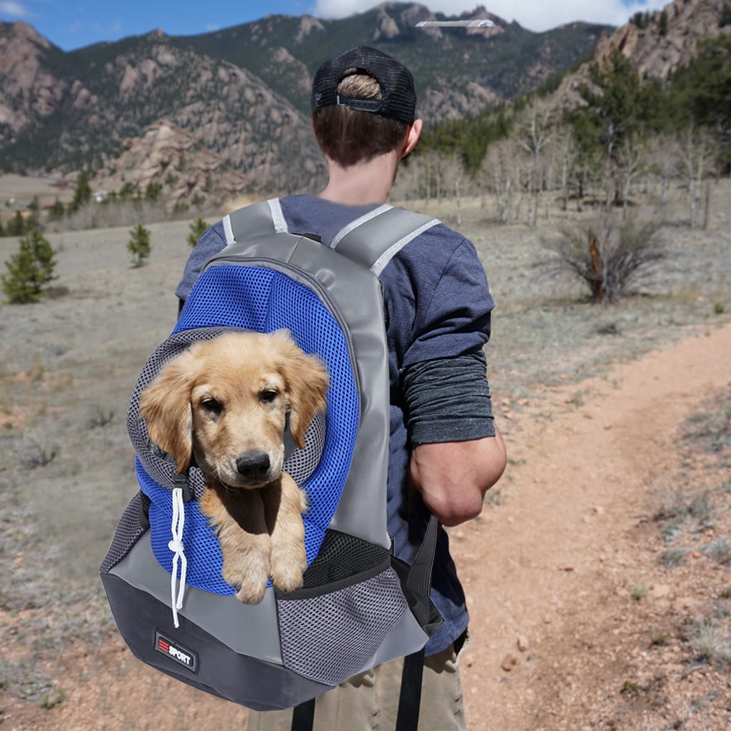 soft pet carrier walmart