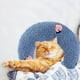 thumbnail image 5 of Almohada para el cuello para mascotas, cojín de entrenamiento para abrazar, juguetes interactivos cómodos, juguete para masticar, almohada para dormir Azul Colco Almohada de mascotas, 5 of 7