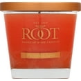 thumbnail image 2 of Root Candles Honeycomb Veriglass Scented Beeswax Blend Candle, Small, Pumpkin Spice, 2 of 2