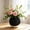 Black, variant on Two Tone Woven Texture Plastic Flower Pot with Saucer - Modern Dual Color Decorative Planter for Succulents Cactus Bonsai Small Plants, Lightweight Indoor Outdoor Home Office Desktop