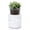 White, variant on Double-Layer Planter Set - Rotating Cachepot with Clear Inner Liner for Root , for Indoor , 4.5", White, 73-U-A-1