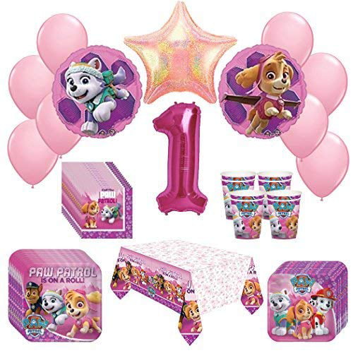 Girl Pups Pink Paw Patrol Skye Everest Birthday Party Supplies Bundle Pack fo... 