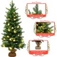 thumbnail image 3 of Costway 3Ft Pre-Lit Spruce Tabletop Christmas Tree Battery Operated w/Lights & Timer, 3 of 10