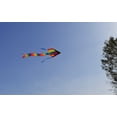 thumbnail image 5 of Rainbow Kite For Kids Delta Kite 42 X 26 Inch with 62 Inch Rainbow Tail Easy Flyer includes string and handle, 5 of 5