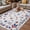 Blue Grey, variant on 4th of July Outdoor Rug for Patio/Deck/Porch, Non-Slip Large Area Rug 5 x 7 Ft, Independence Day Blue Red Star Firework Indoor Outdoor Rugs Washable Area Rugs, Reversible Camping Rug Carpet Runner
