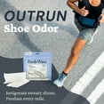 thumbnail image 3 of Shoe Deodorizer, 1 Pack (2 Count) – Natural & Safe Shoe Freshener for All Types of Shoes, Long-Lasting and Reusable, Odor Eliminator for Strong Odor, Easy-to-Use Shoe Smell Remover, 3 of 4