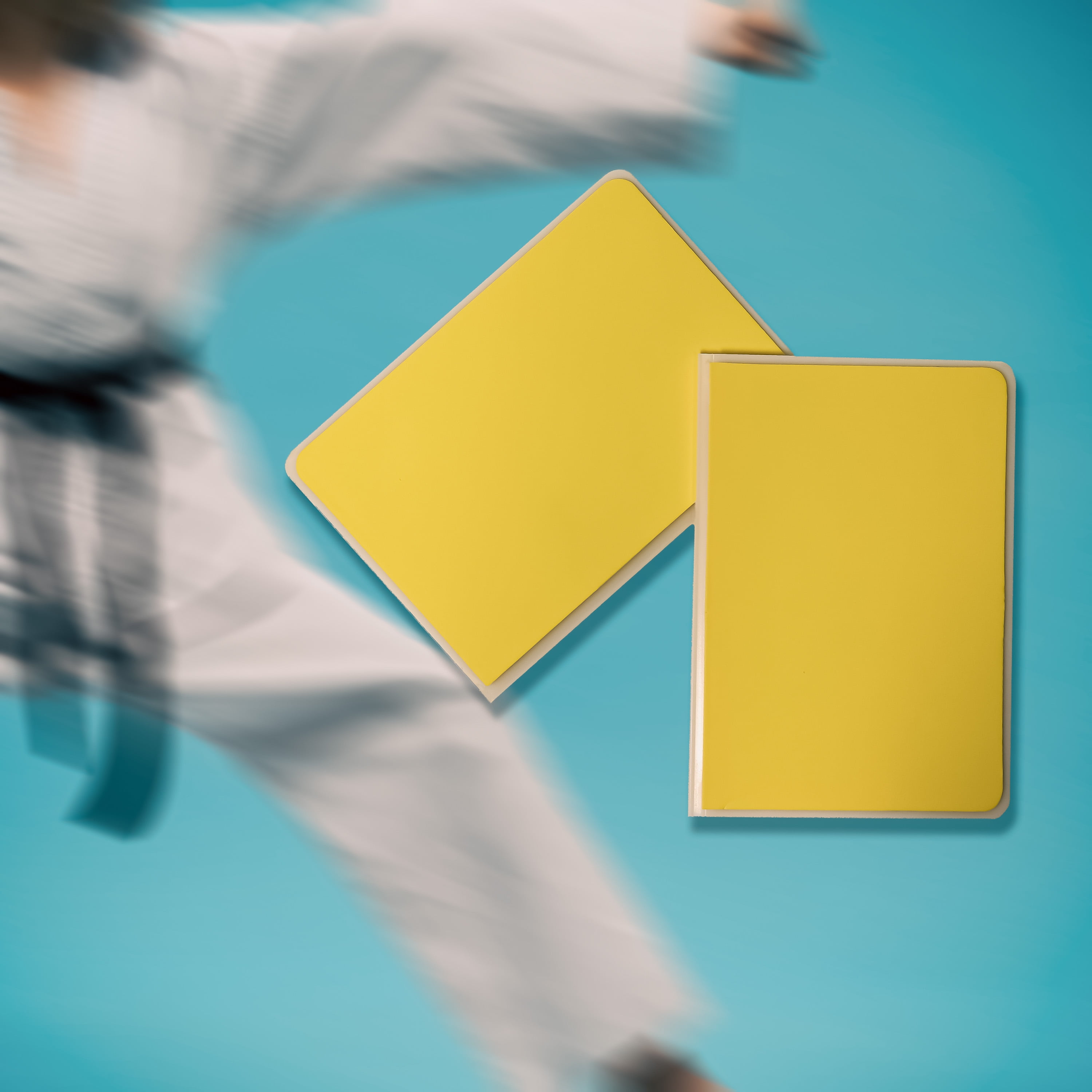 Martial Arts, Karate & Taekwondo Training Equipment Breaking Boards (4 Levels of Difficulty)