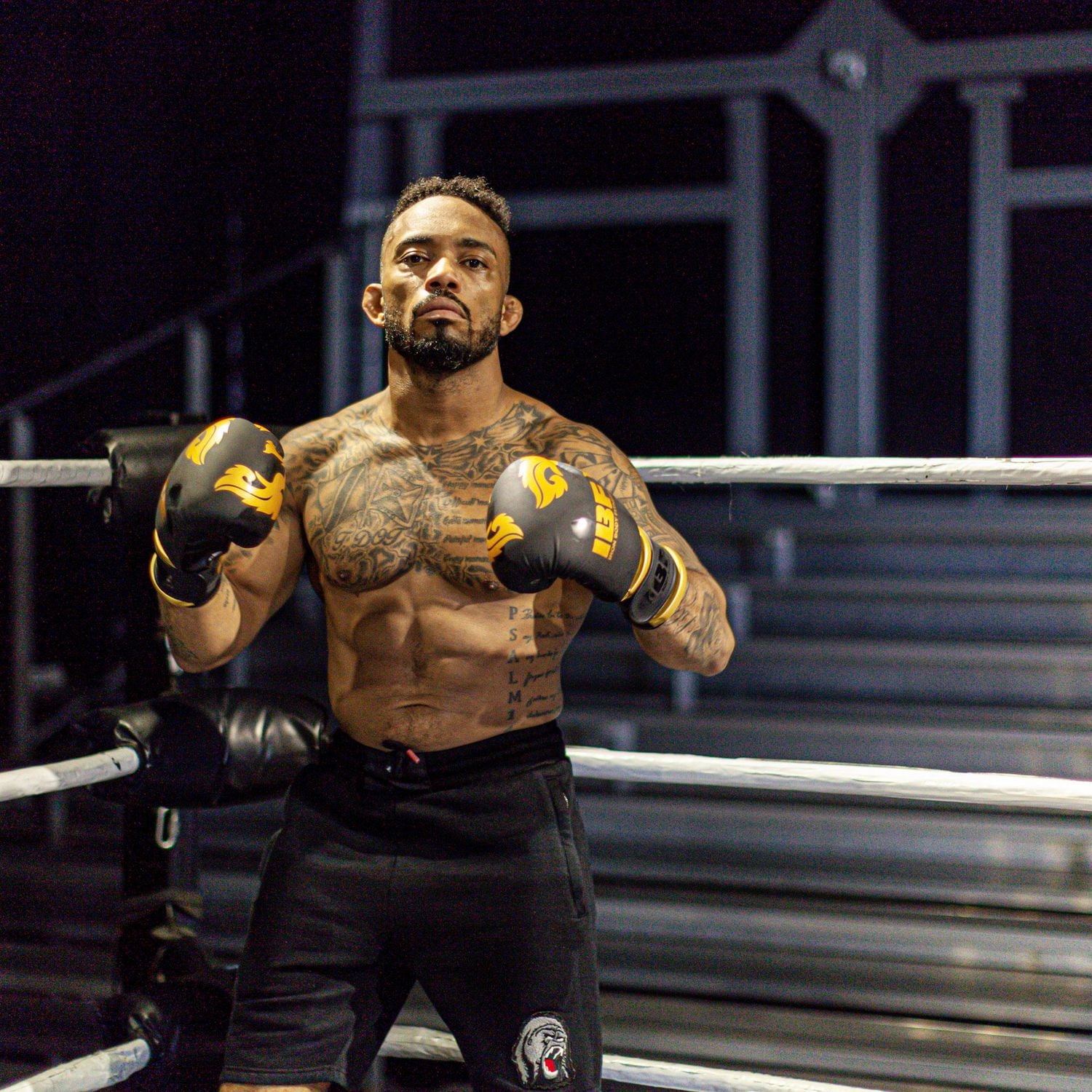 Gants de boxe serie thaï d'IBF - 12 once. - Noir et dorées