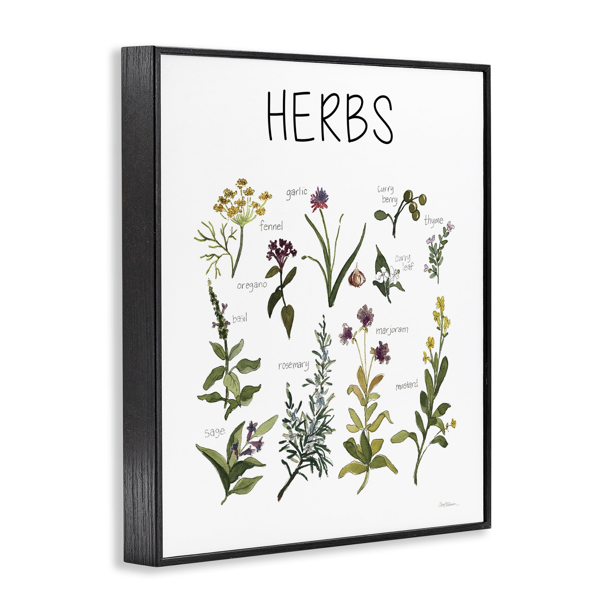 Stupell Industries Herbs Identification Chart Black Framed Giclee Art, design by Carol Robinson