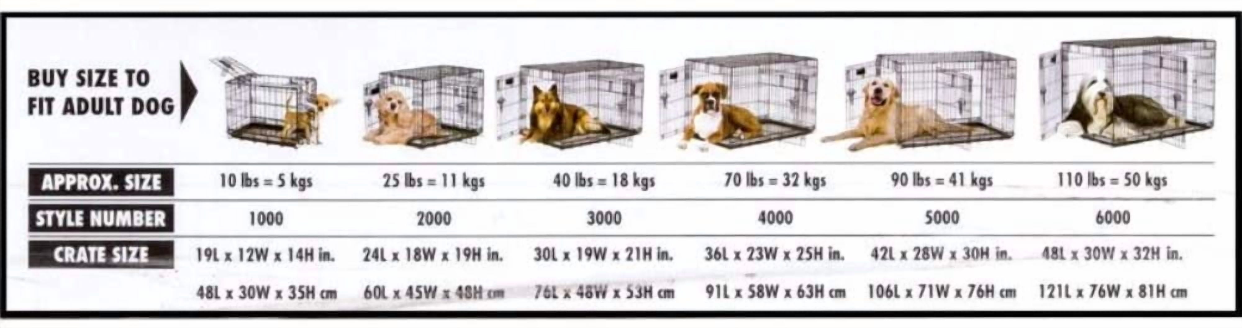 Two Door Wire Dog Crate with 5-Point Lock, 24 Inch for 15-30 lbs Pets,  & Collapsible
