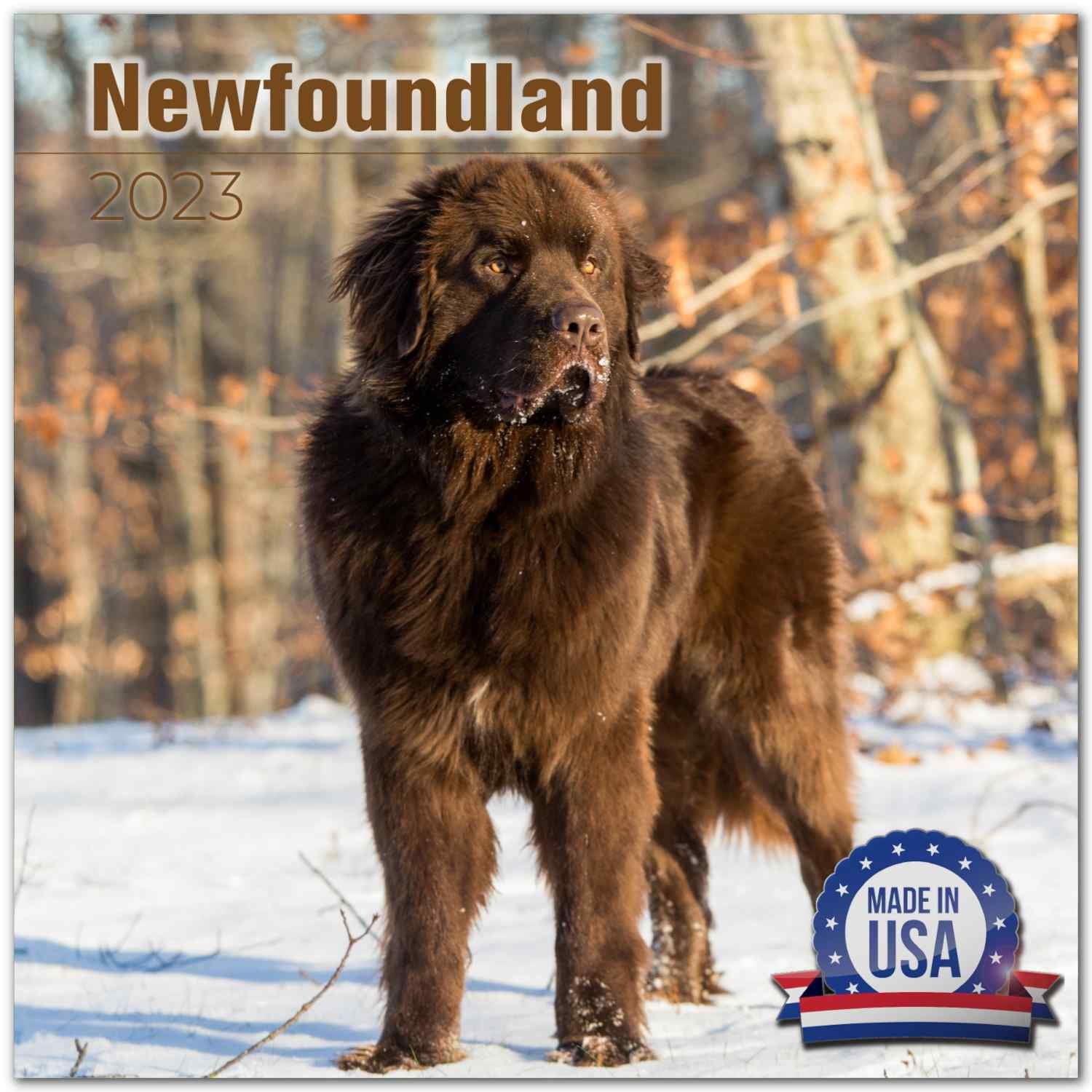 2022 2023 Newfoundland Calendar - Dog Breed Monthly Wall Calendar - 12 x 24 Open - Thick No-Bleed Paper - Giftable - Academic Teacher's Planner Calendar Organizing & Planning - Made in USA