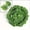 watermelon, variant on Artificial Ivy Leaves Vine Garland Hanging Creeper Plant for Wedding Birthday Party Home Garden Wall Decoration
