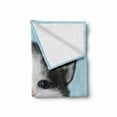 thumbnail image 2 of Cartoon Soft Flannel Fleece Blanket, Portrait of Domestic Kitten Newborn Bicolor Furry Head Pink Wet Nose Artwork, Cozy Plush for Indoor and Outdoor Use, 60" x 80", Black White Blue, by Ambesonne, 2 of 6