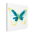thumbnail image 2 of Trademark Fine Art 'Butterfly Traces III' Canvas Art by June Erica Vess, 2 of 4