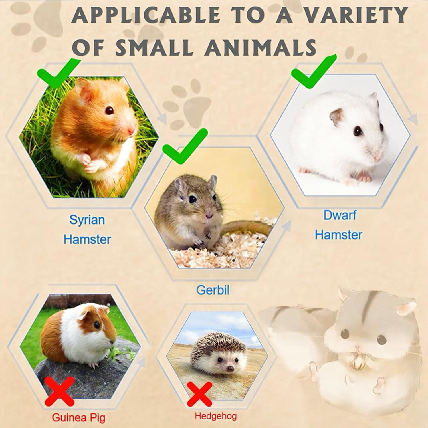 8 in 1 Acrylic Hamster Cage with All Accories2Layer Hamster House with Full Transparent Viewing Top Open Mouse Cage for Pet Mice Hamster Habitat for Dwarf Hamster Gerbils;18.5x11.8x14.6
