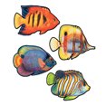 thumbnail image 1 of Coral Reef Fish Cutouts (Pack of 12), 1 of 2