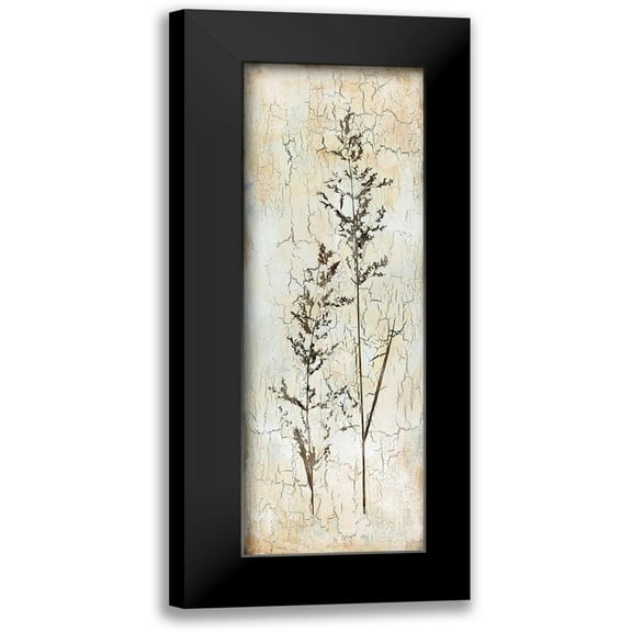 Robinson, Carol 7x14 Black Modern Framed Museum Art Print Titled - Delicate Nature I