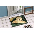 thumbnail image 4 of Carolines Treasures SS8761MAT Golden Retriever Tapis Intérieur Extérieur - 18 x 27 Po., 4 of 4