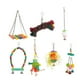 thumbnail image 1 of Parrots Toy Set Colorful Climbing Chewing Bird Swing Toys for Parakeets Cockatiels Lovebirds, 1 of 1