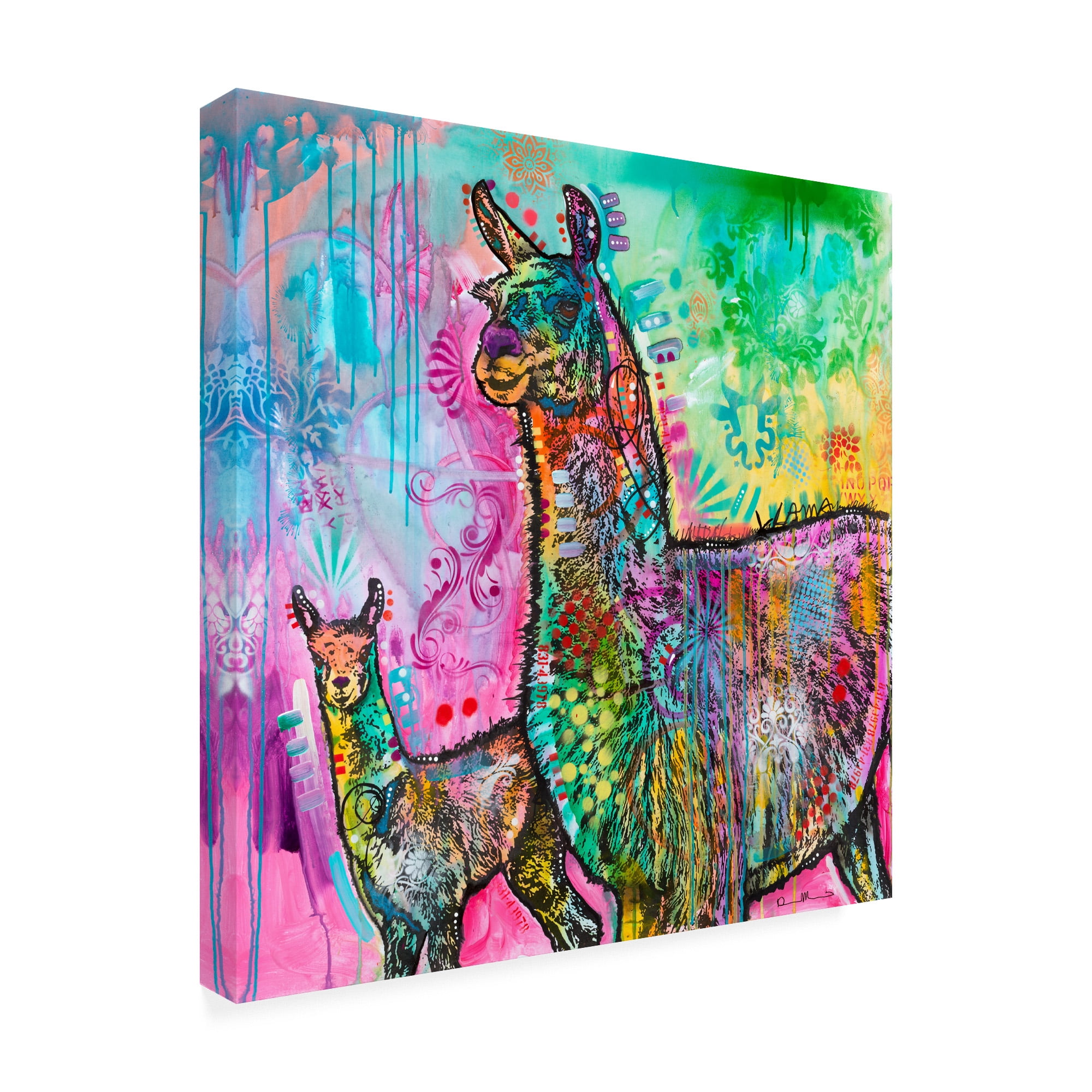 Trademark Fine Art 'Llama' Canvas Art by Dean Russo