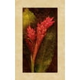 thumbnail image 2 of Seba, John 22x32 Black Ornate Wood Framed with Double Matting Museum Art Print Titled - Ginger, 2 of 4