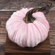 thumbnail image 1 of Calabazas de terciopelo de 7,9 pulgadas | Adornos otoñales de peluche supersuaves para Halloween y Acción de Gracias | Centro de mesa para el hogar, 1 of 2