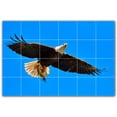 thumbnail image 1 of Picture-Tiles.com: Bird Ceramic Tile Wall Mural WAL500156-64L. 48"W x 32"H using (24) 8" x 8" Ceramic Tiles-Satin Finish, 1 of 3