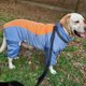 thumbnail image 5 of chaqueta de invierno con revestimiento de lana térmica, chaqueta para perros pequeños / grandes / medianos con tiras reflectantes - azul 12 para 6 - 8 kg Shuxiu Wang 9024719180434, 5 of 5