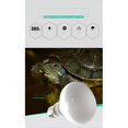 thumbnail image 3 of 220v Uva Heating Lamp High Brightness Daylight Bulb Heat Lamp Bulb For Turtle Lizard Hedgehog Reptile 25w, 3 of 5