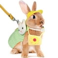 thumbnail image 2 of Conjunto de piezas de chaleco y correa de arnés de animales pequeños, chaleco de arnés de pecho para mascotas pequeñas, chaleco para caminar para conejo, hurón, conejo, taza de té, caniche, gatito Ormromra 220891-1, 2 of 8